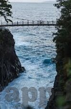精彩足球比分投注新浪-新浪平台，足球比分投注的精彩新视界