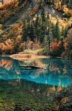 足球比分哪里看-足球比分实时追踪全攻略,五大渠道助你秒懂赛场风云